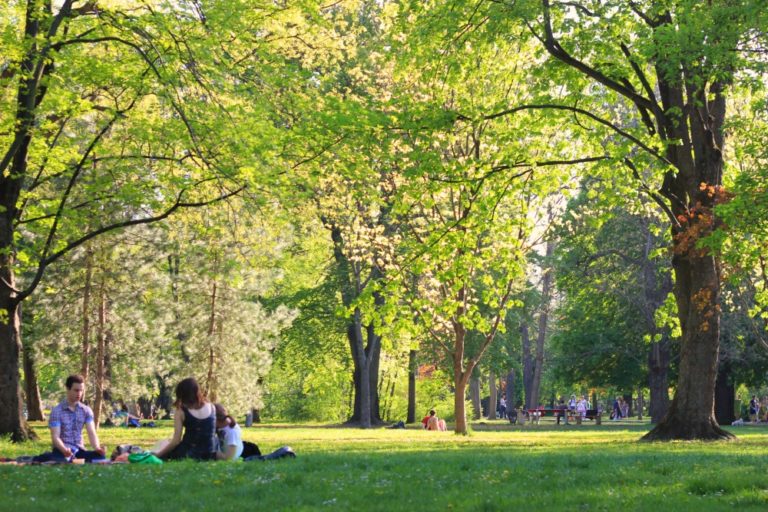 Exploring the Magic of Margaret Island in Budapest: An EnchantedRetreat in the Heart of the City