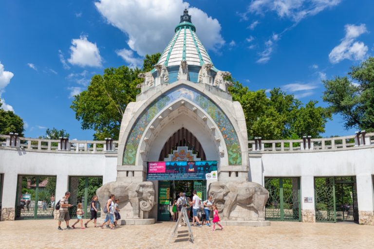 Discovering Wildlife Wonders: Budapest Zoo