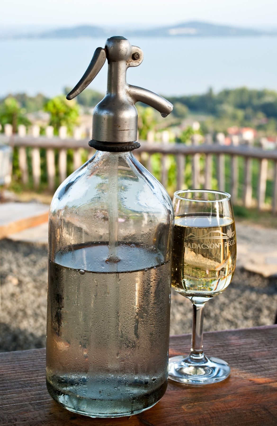 A Liquid Tour of Budapest: The Essential Alcoholic Beverages for the ...