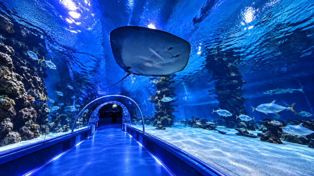 Tropicarium Budapest: sharks, rainforest and an underwater world
